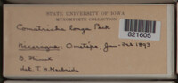 Image Associated With the Occurence